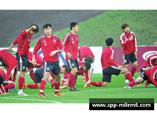 探索韩国注册球员：背景、趋势与影响