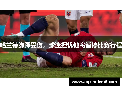 哈兰德脚踝受伤，球迷担忧他将暂停比赛行程